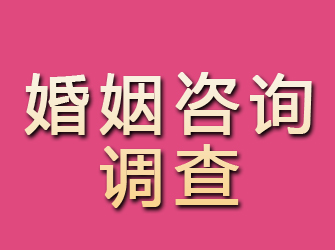 大兴安岭婚姻咨询调查