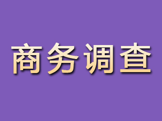 大兴安岭商务调查